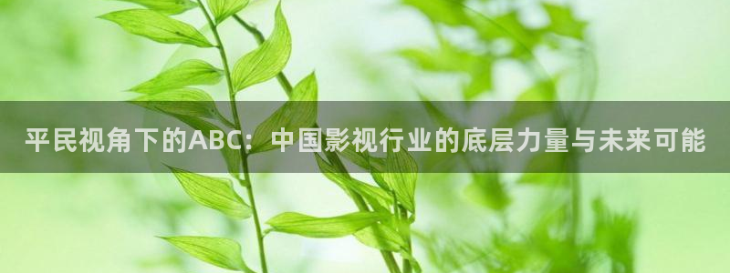 .红桃视频