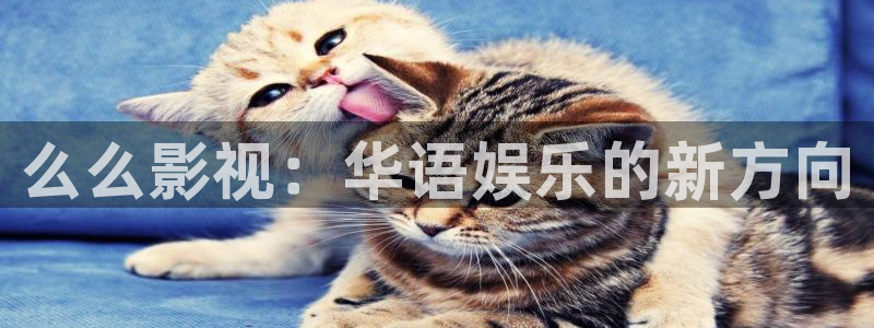 红桃影视在线观看免费高清完整版