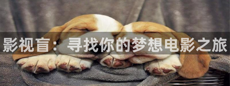 红桃影院网：影视盲：寻找你的梦想电影之旅