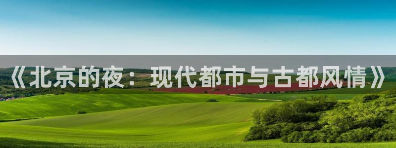 红桃影视在线免费