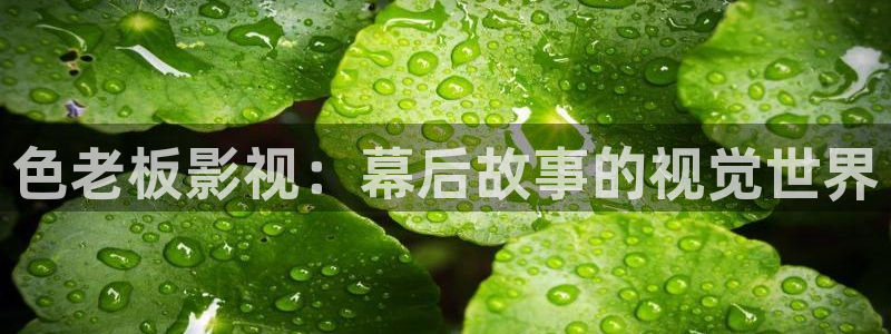 红桃影院免