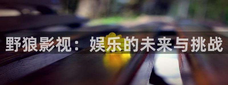 红桃影视